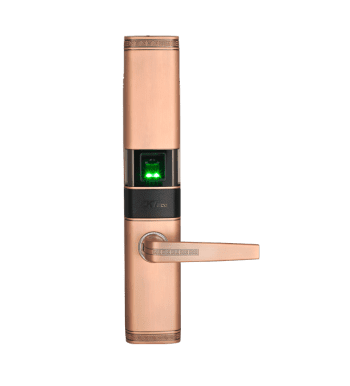 TL200 - الصورة 3